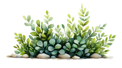 Green lush bush with small pebbles, cut out transparent