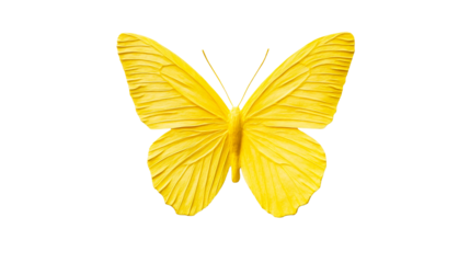 Yellow butterfly on black background, artwork illustration, cut out transparent