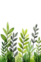 Fototapeta premium Watercolor Painting of Lush Green Leaves on White