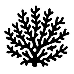 Seaweed silhouettes