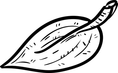 Handdrawn leaf doodle icon. Hand drawn black sketch. Sign symbol. Decoration element. White background. Isolated. Flat design. Vector illustration