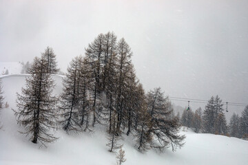 snow with rain and wind on the top of a mountain at an Italian ski resort in the Alps. Poor visibility