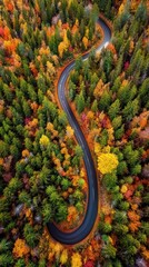 Obraz premium A winding road meanders through a vivid autumn forest filled with falling leaves. Vertical.
