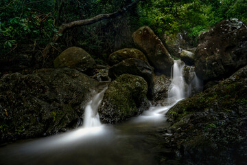Obraz premium waterfall in the forest