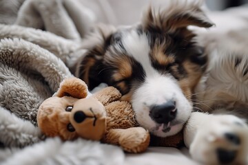 A charming puppy curled up with a plush toy, looking peaceful.








