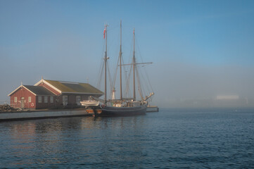 sailboat in the harbor