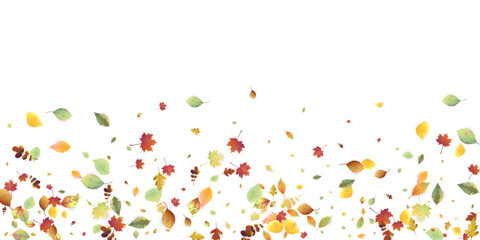 Leaves Falling Autumn Foliage Chaotic Leaf Flying