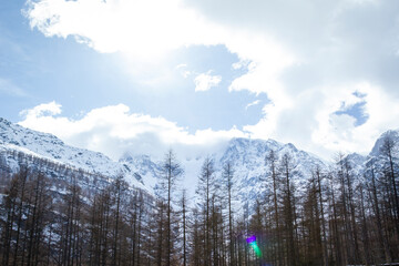 Late winter panorama of the Northern Italy Apls, taken from the village of Macugnaga. Is a small...