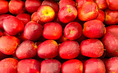 red apples background