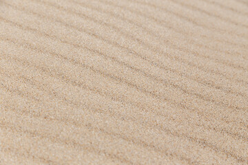 Close-up of wind-formed ripples in golden beach sand. Fine, natural texture with soft diagonal lines, creating a clean and minimal abstract background in warm, earthy tones.