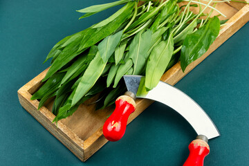 Ramps, green wild leeks.