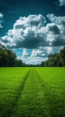 Serene green field landscape with dramatic clouds and tire tracks under a bright blue sky offering a peaceful and idyllic nature scene