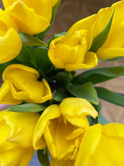 Lush bouquet of blossoming yellow tulips with long green leaves on brown background, close-up, top view. Delicate flowers. Spring season. Gift. Token of attention.