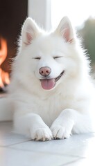 Obraz premium White Dog by Fire