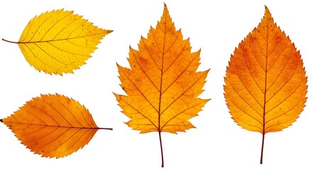 Fototapeta premium Autumn's Golden Hues AI Generated