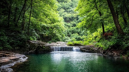 Naklejka premium Lush forest waterfall pond