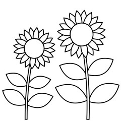 ひまわりの花の白黒線画イラスト。夏イメージの塗り絵。