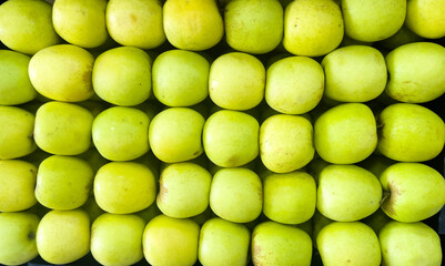 collection of green apples, closely packed together and forming a grid pattern