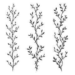 Set of twigs, branches of leaves. Seamless doodle floral pattern. Hand drawn Botanical drawing. Detailed line art of twigs and thorns vine illustration. Outline Simple Stylized Art © Armine