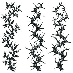 Set of twigs, branches of leaves. Seamless doodle floral pattern. Hand drawn Botanical drawing. Detailed line art of twigs and thorns vine illustration. Outline Simple Stylized Art