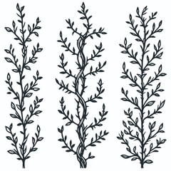 Set of twigs, branches of leaves. Seamless doodle floral pattern. Hand drawn Botanical drawing. Detailed line art of twigs and thorns vine illustration. Outline Simple Stylized Art