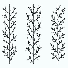 Set of twigs, branches of leaves. Seamless doodle floral pattern. Hand drawn Botanical drawing. Detailed line art of twigs and thorns vine illustration. Outline Simple Stylized Art