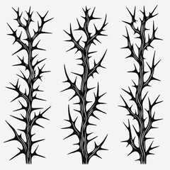 Set of twigs, branches of leaves. Seamless doodle floral pattern. Hand drawn Botanical drawing. Detailed line art of twigs and thorns vine illustration. Outline Simple Stylized Art