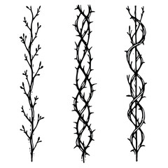 Obraz premium Set of twigs, branches of leaves. Seamless doodle floral pattern. Hand drawn Botanical drawing. Detailed line art of twigs and thorns vine illustration. Outline Simple Stylized Art