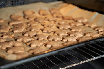 Baking fresh homemade gingerbread cookies on oven tray for holiday celebration.
