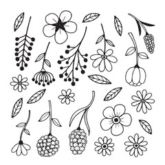 hand drawn outline flowers illustration. Line Drawing flower. hand drawn sketch of flowers illustration. 