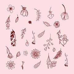 hand drawn outline flowers illustration. Line Drawing flower. hand drawn sketch of flowers illustration. 