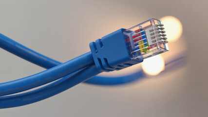 Blue Network Cable Connector (1)