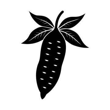 Professional Yaca Cassava Black Vector Art







