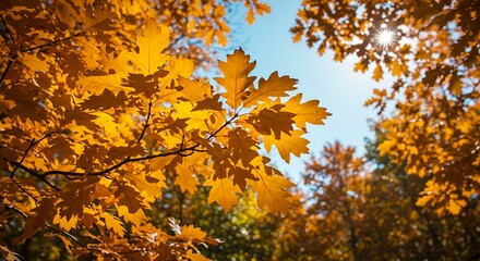 Fototapeta premium Golden Hour Canopy AI Generated