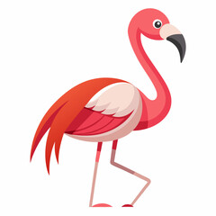 pink flamingo isolated on white