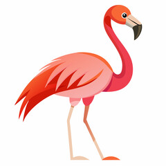 flamingo on white