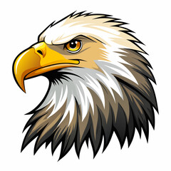 american bald eagle