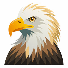 american bald eagle