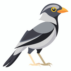 vector illustration of a bird