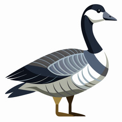 goose on white