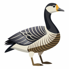 goose isolated on white