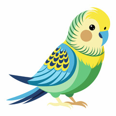 blue bird on a branch