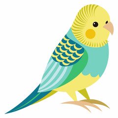 blue and yellow macaw