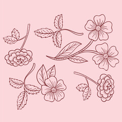 hand drawn outline flowers illustration. Line Drawing flower. hand drawn sketch of flowers illustration. 