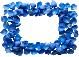 frame of blue rose petals clipart image on transparent background
