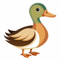 duck isolated on white