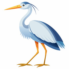 Obraz premium great blue heron