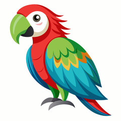 parrot on white background