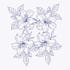 hand drawn outline flowers illustration. Line Drawing flower. hand drawn sketch of flowers illustration. 