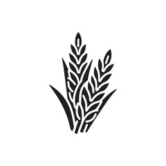 wheat ears isolated on white